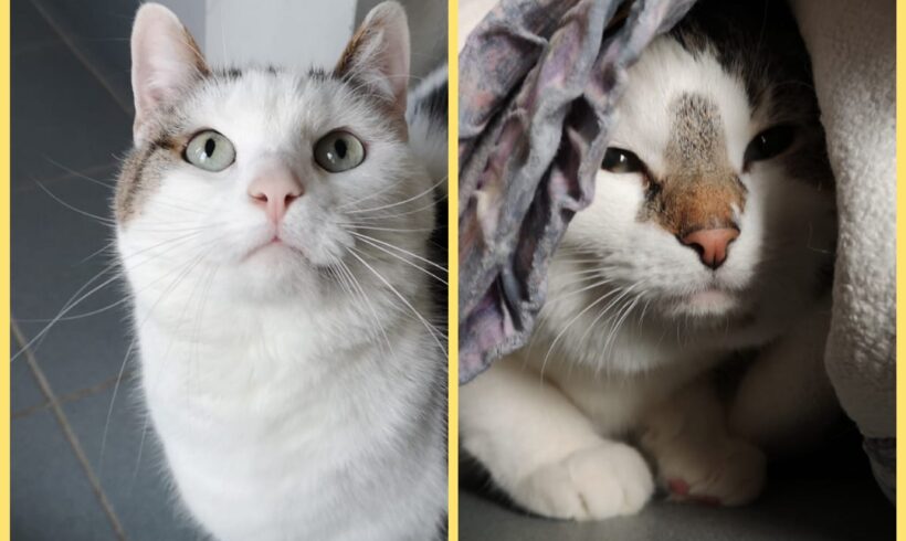 Max & Moritz vermittelt am 28.05.2022