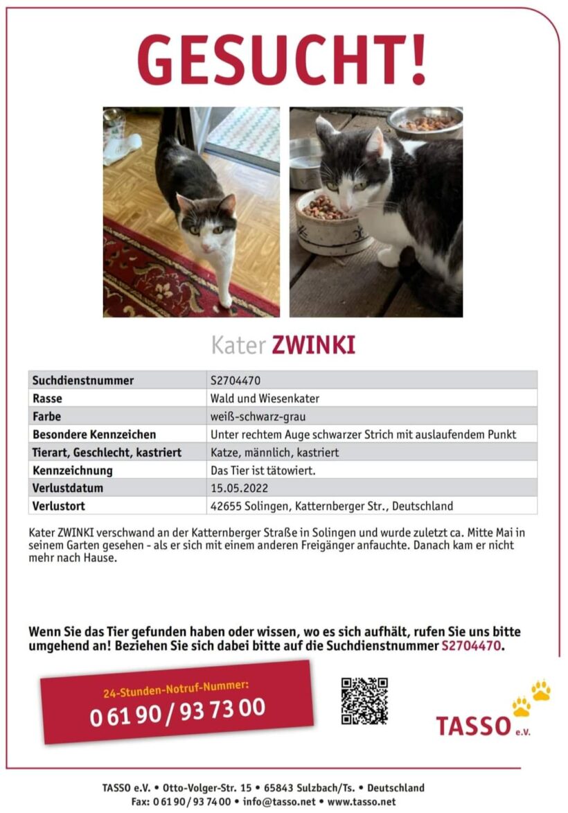 Katze Zwinki vermisst seit 15.05.2022