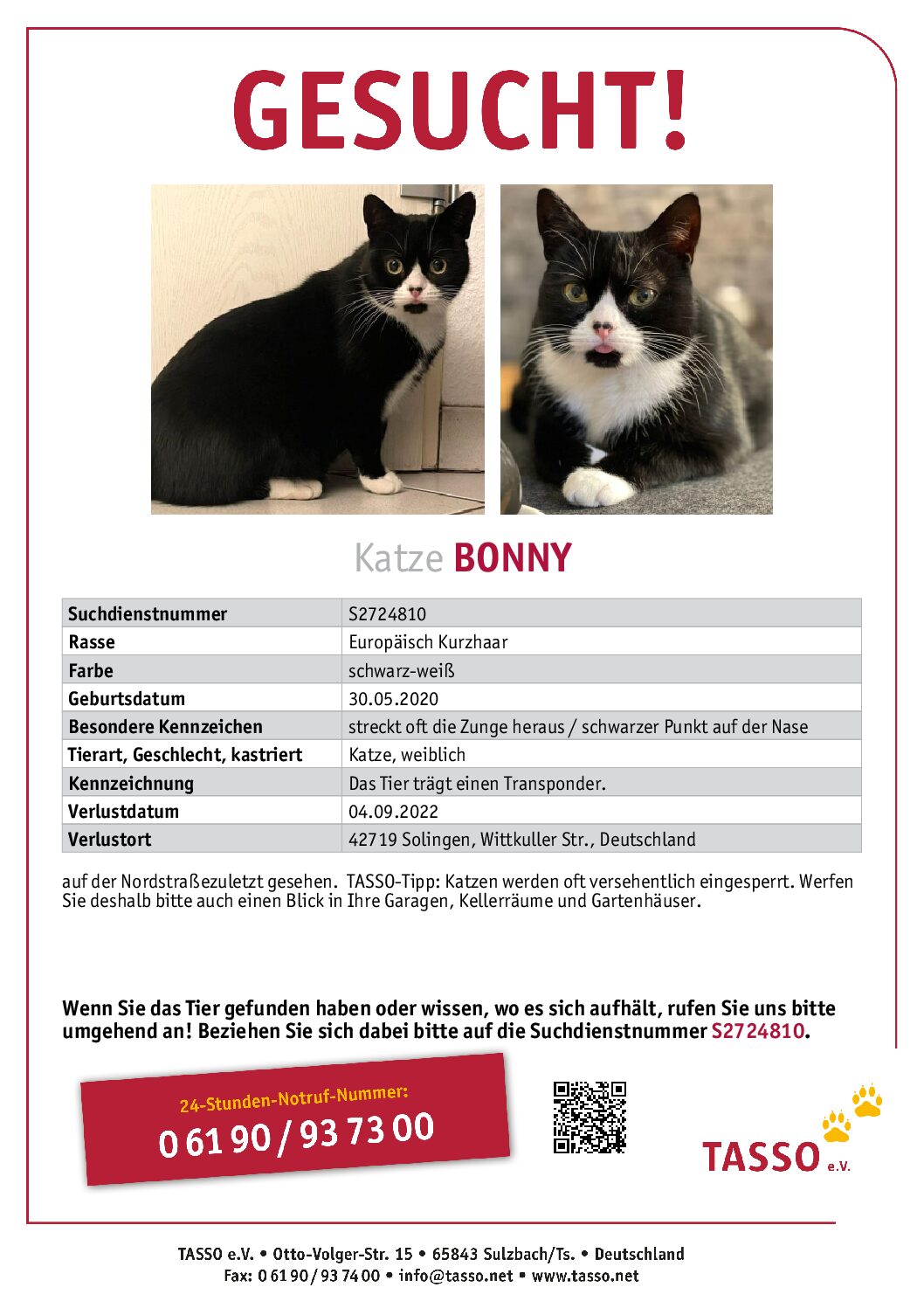 Vermisst: Katze Bonny seit 04.09.2022