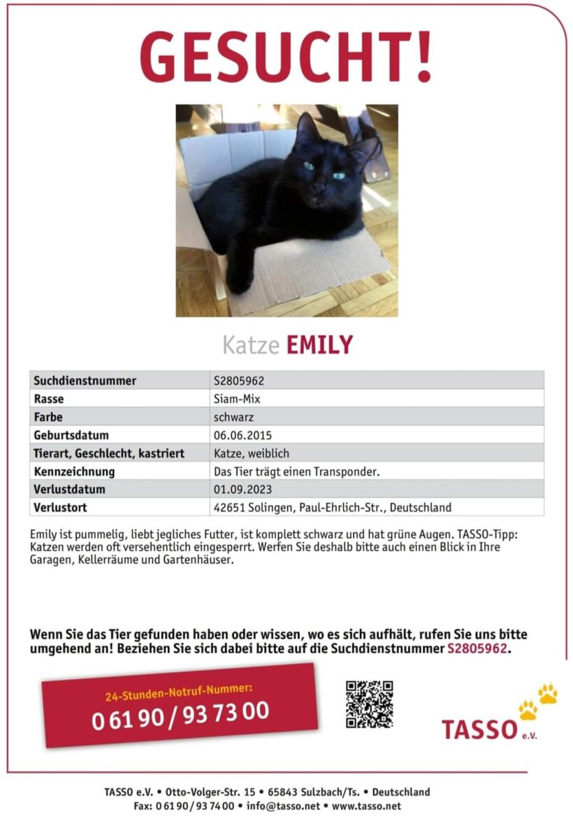 Vermisst: Katze Emily seit 01.09.2023 – Paul-Ehrlich-Str. in Solingen
