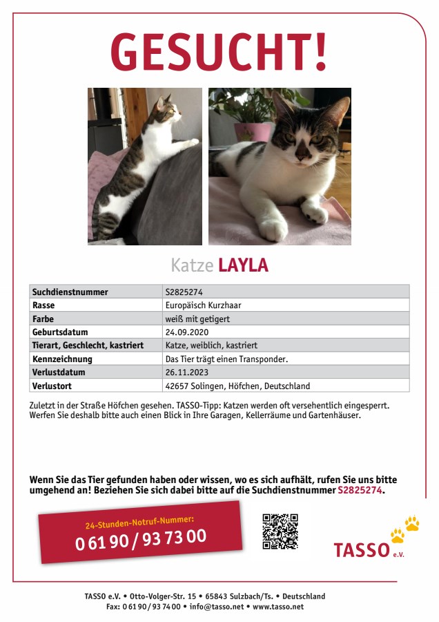Vermisst: Katze Layla seit 26.11.2023 Höfchen, Solingen