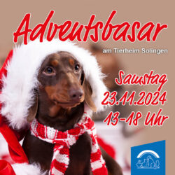 Adventsbasar 2024