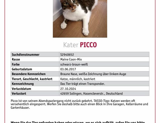 VERMISST: Kater, männlich, kastriert