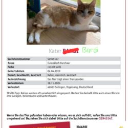 Vermisst: Kater „Bardi“