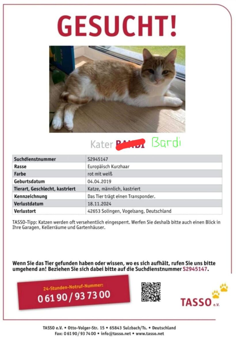 Vermisst: Kater „Bardi“