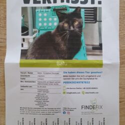 Vermisst: Kater Balu, schwarz, Fontanestraße 42657 Solingen