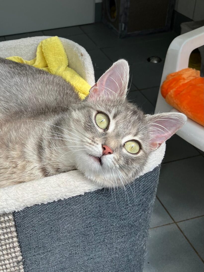 Kira