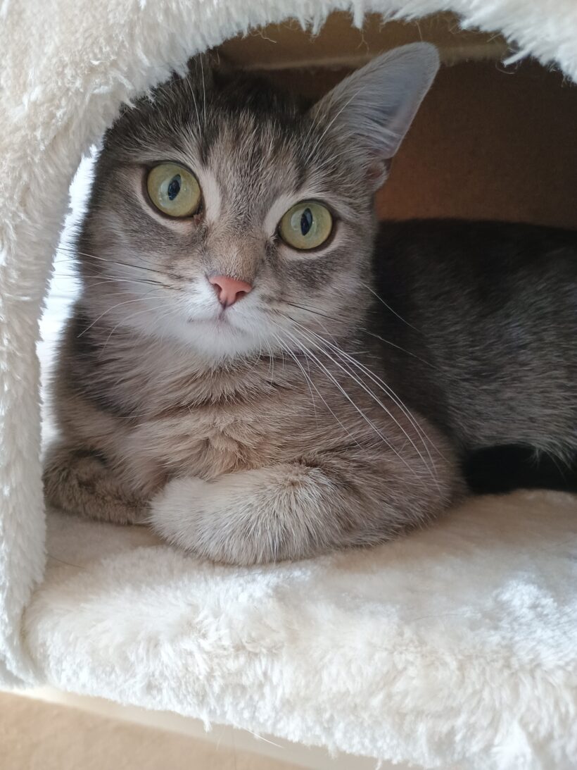 Kira