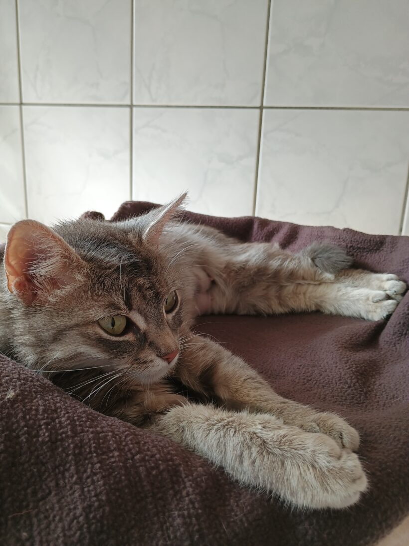 Kira