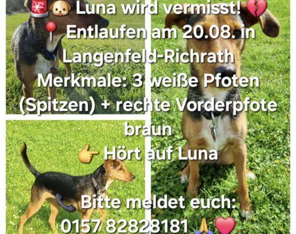 VERMISST: Hündin Luna