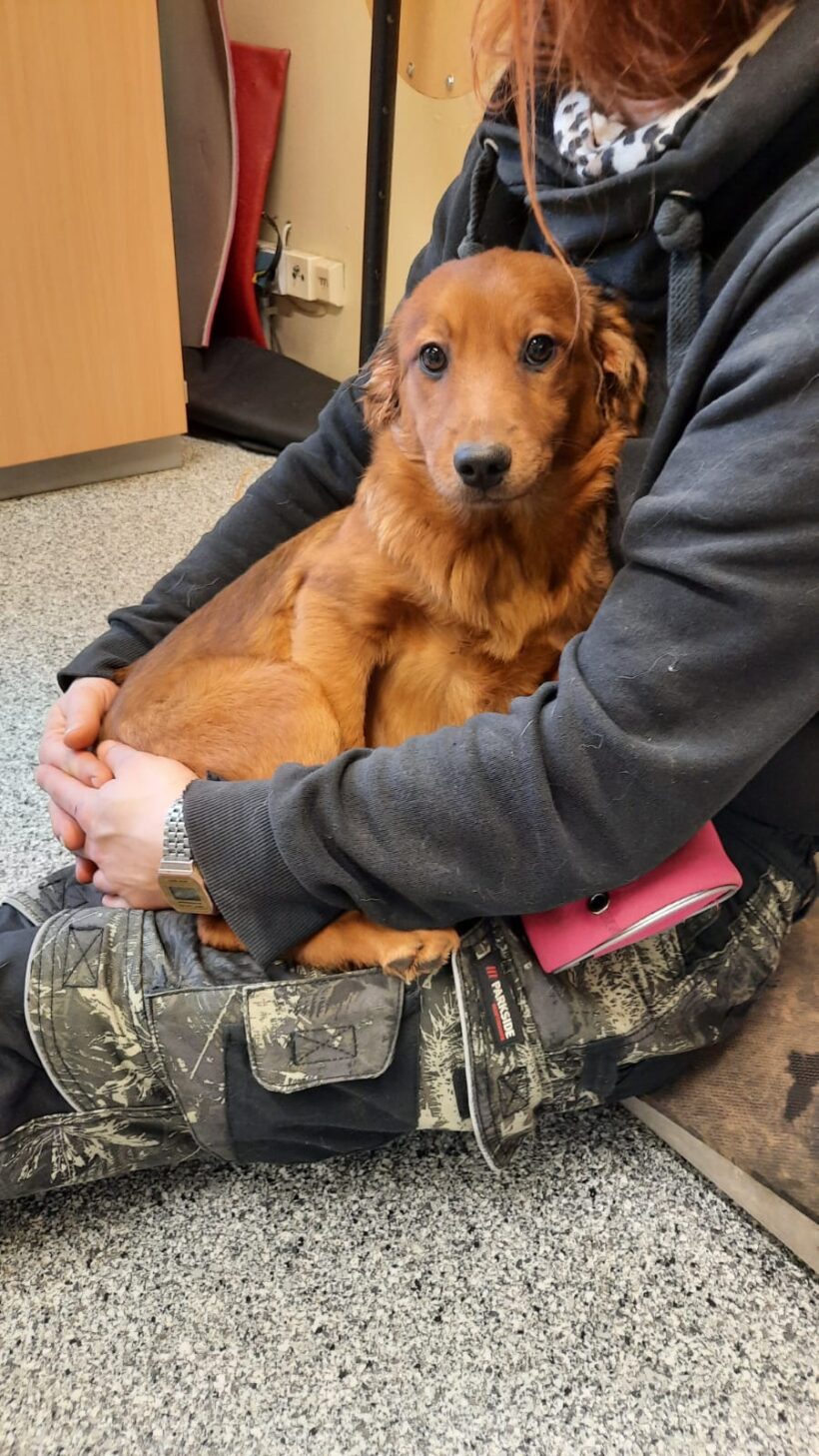 Maja (hat Interessenten) Maja (hat Interessenten)