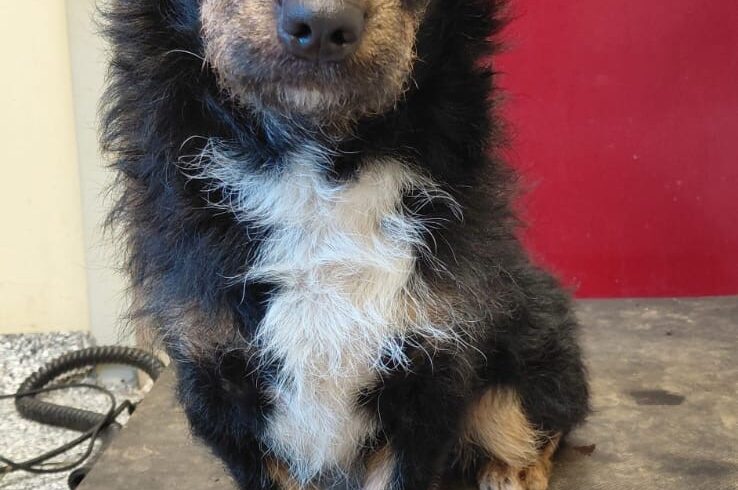 Fritz (hat Interessenten)