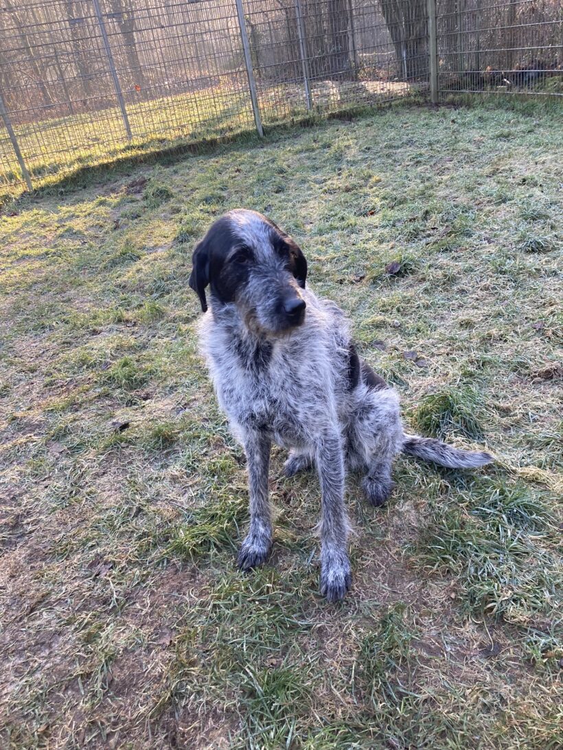 Kira (hat Interessenten)