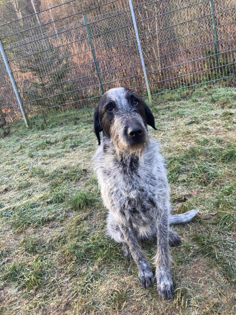 Kira (hat Interessenten)