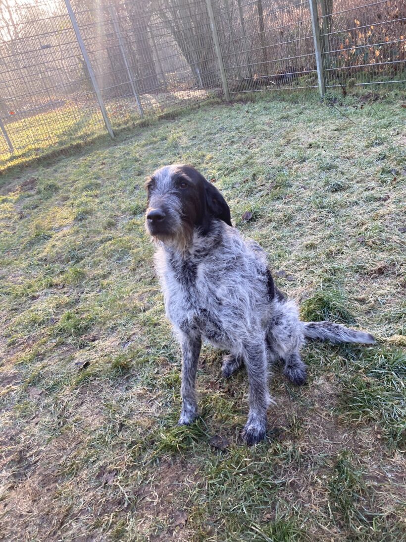 Kira (hat Interessenten)