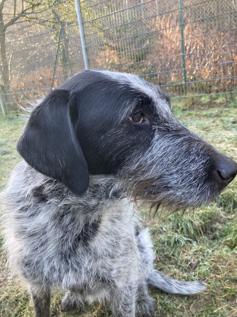 Kira (hat Interessenten)