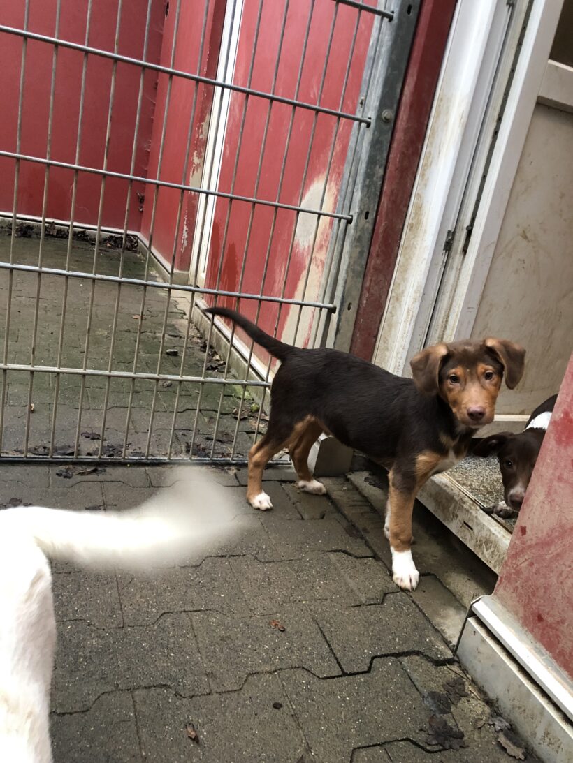 Phil (hat Interessenten)