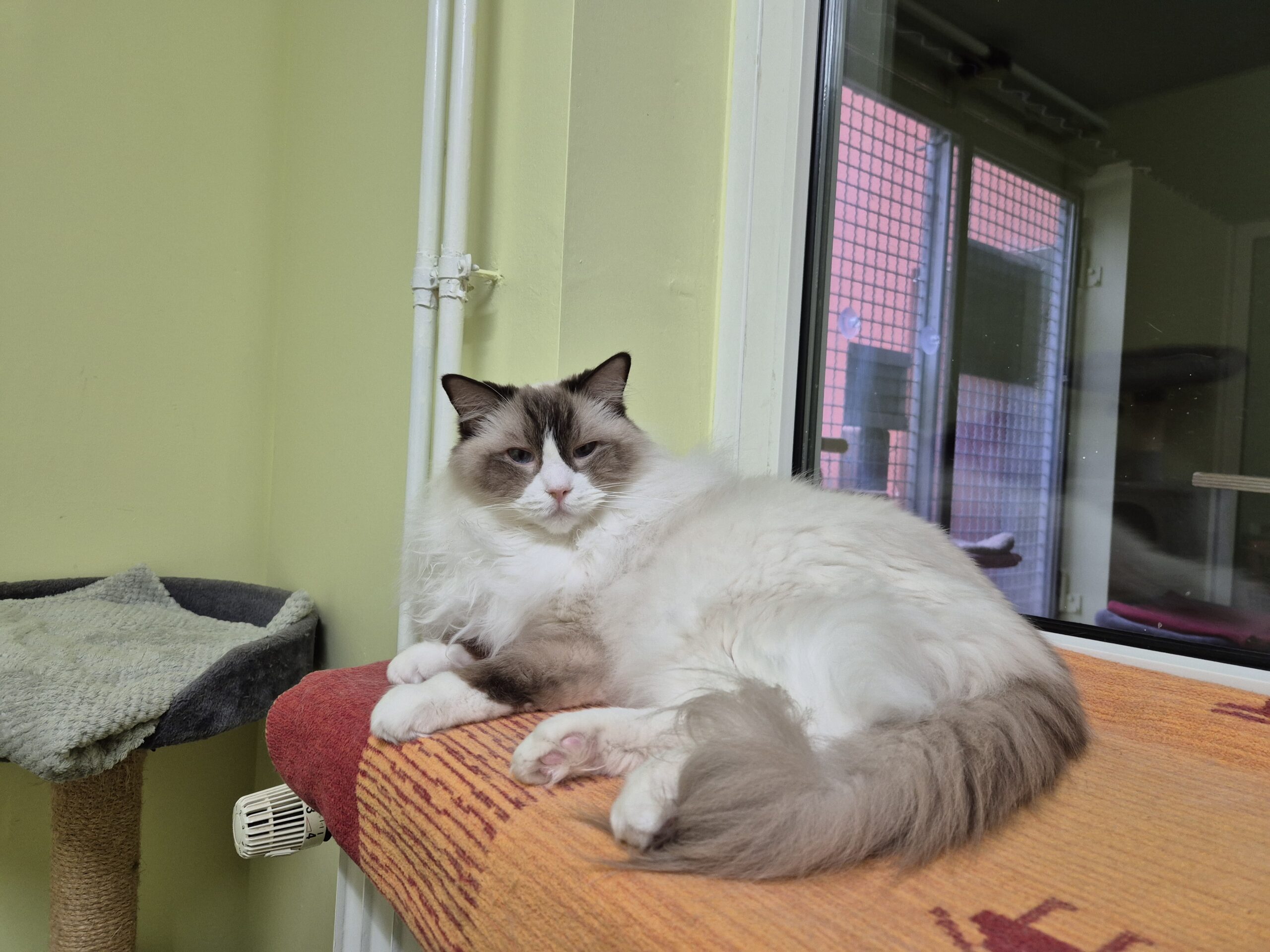 Kirigi & Filou Kirigi & Filou