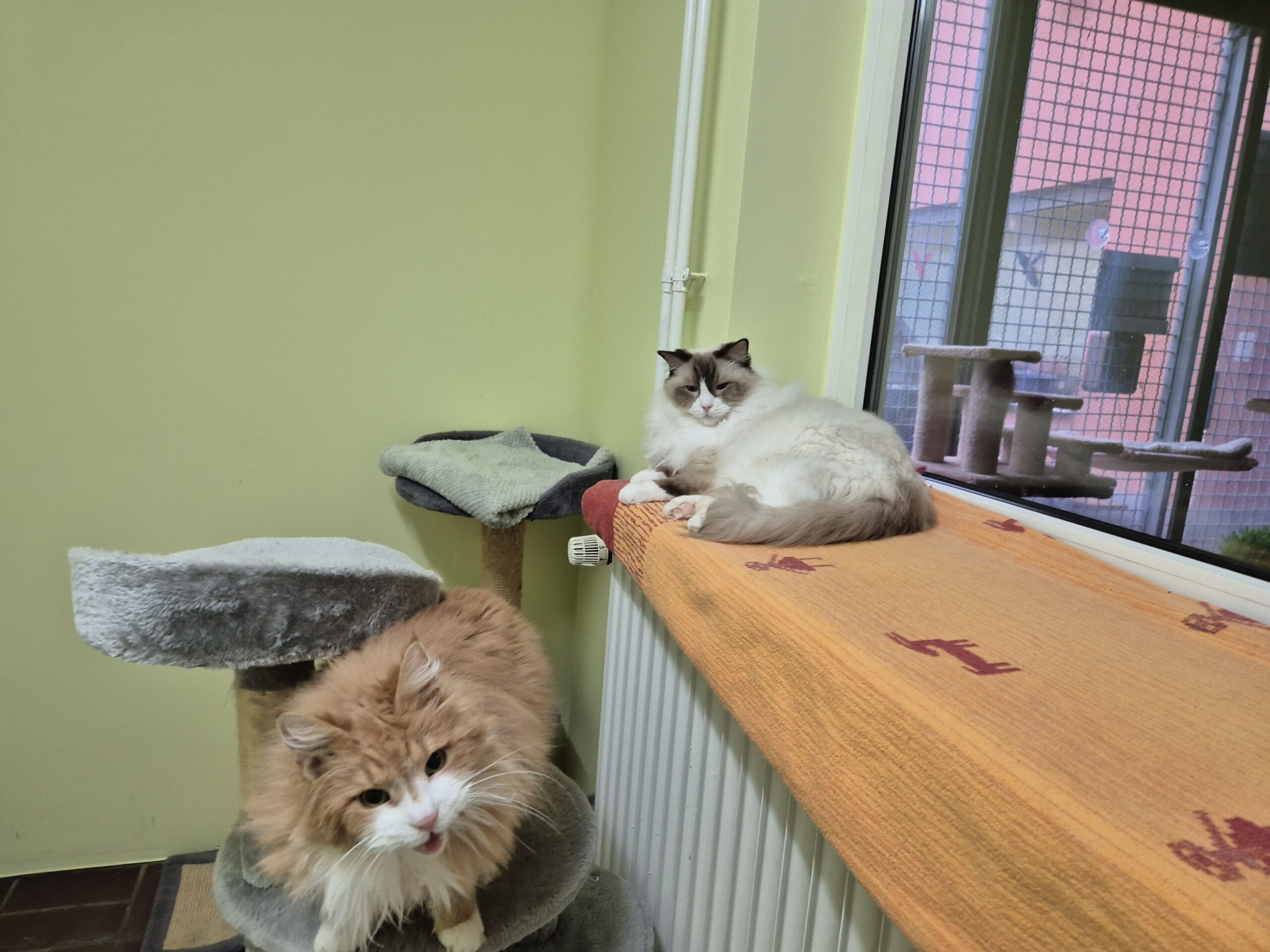 Kirigi & Filou Kirigi & Filou