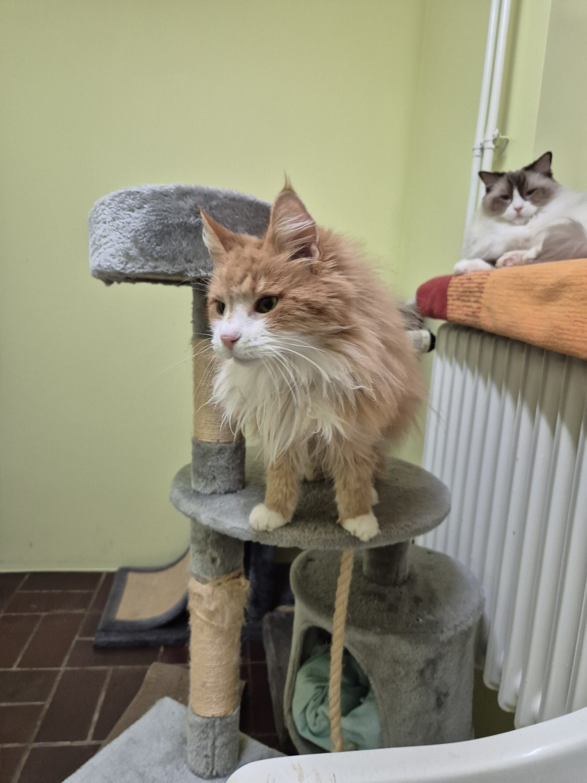 Kirigi & Filou Kirigi & Filou