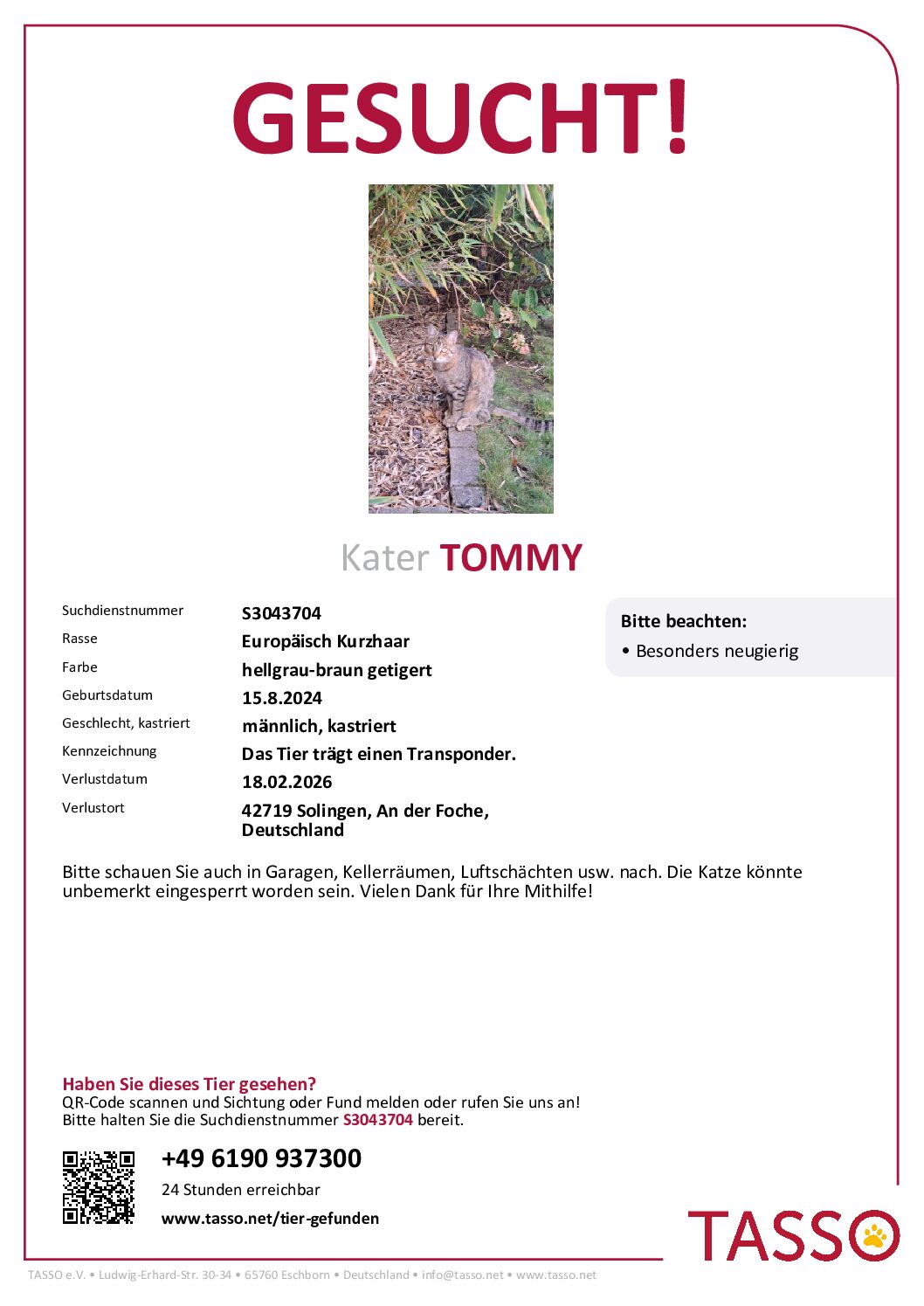 VERMISST: Kater „Tommy“