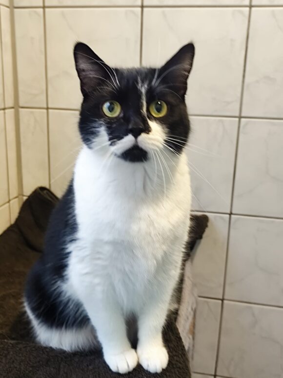 Luna