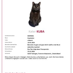 VERMISST: KATER KUBA