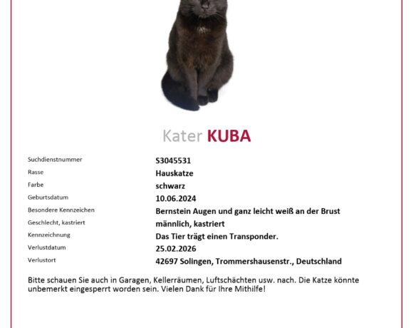VERMISST: KATER KUBA