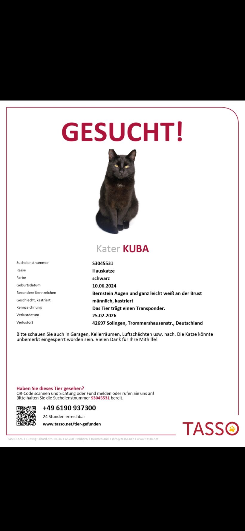 VERMISST: KATER KUBA