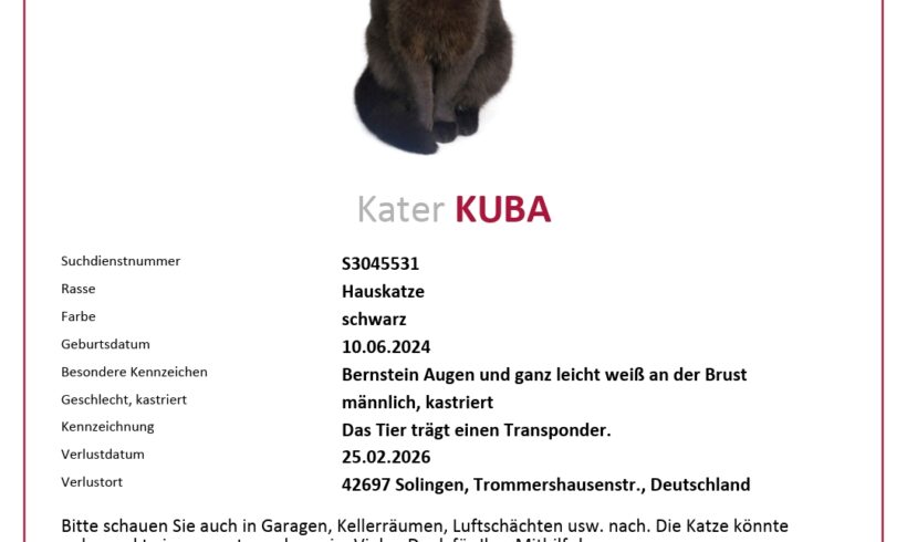 VERMISST: KATER KUBA