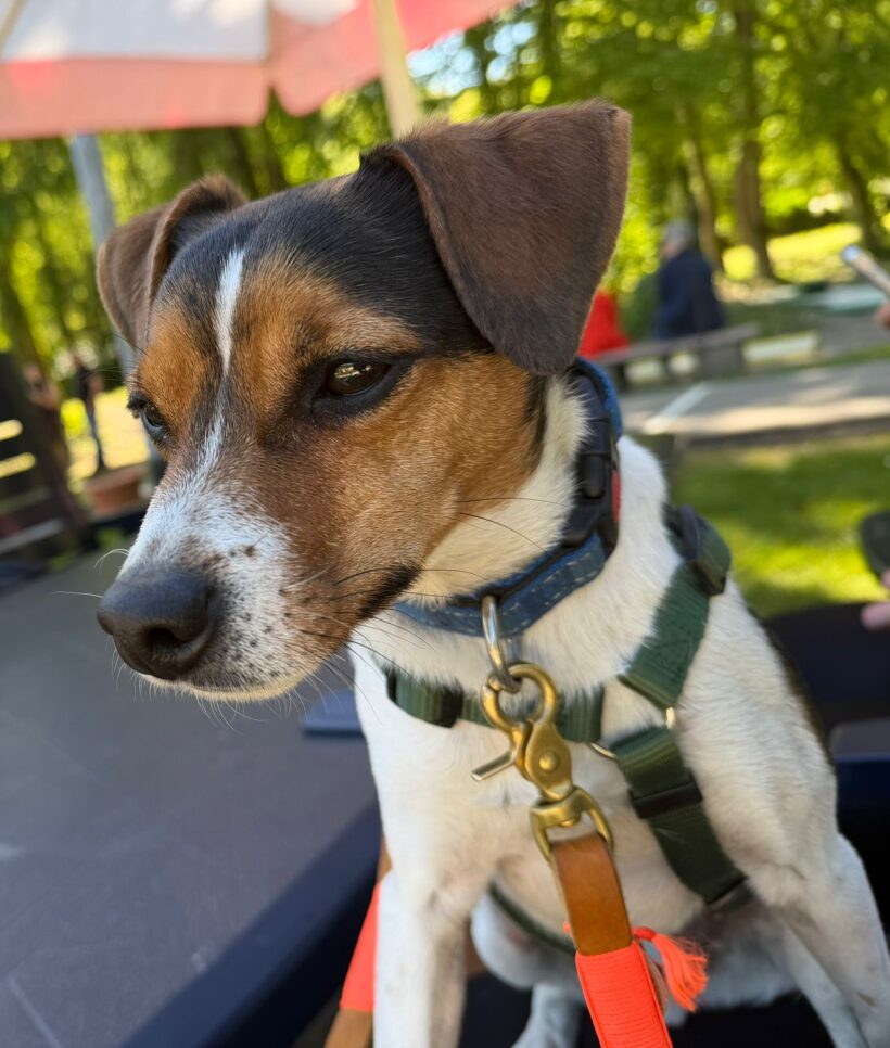 Moritz (hat Interessenten) Moritz (hat Interessenten)