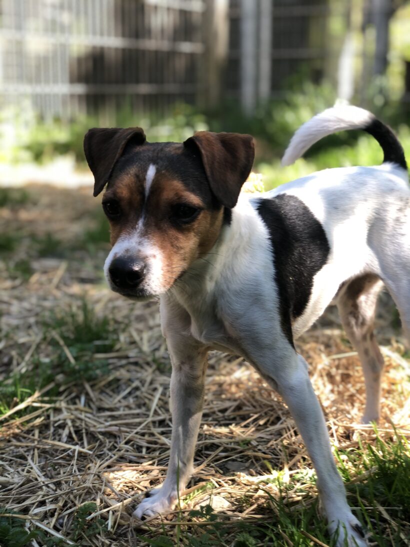 Moritz (hat Interessenten) Moritz (hat Interessenten)