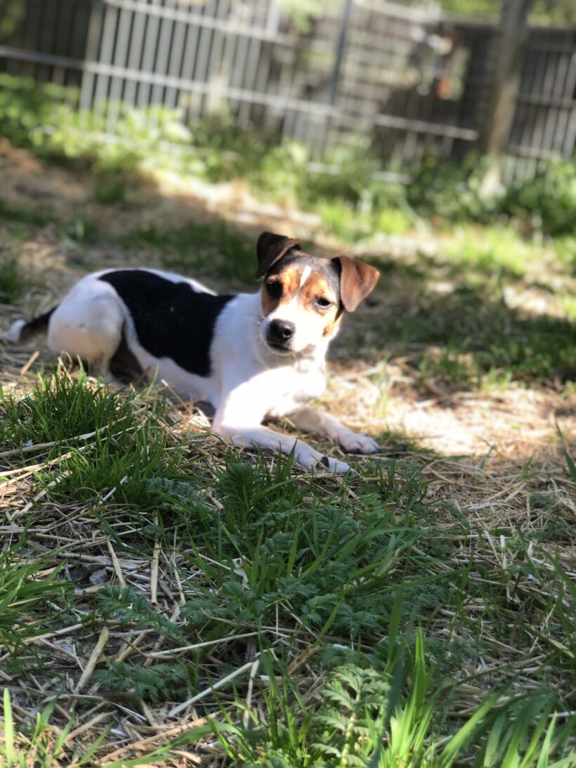 Moritz (hat Interessenten) Moritz (hat Interessenten)