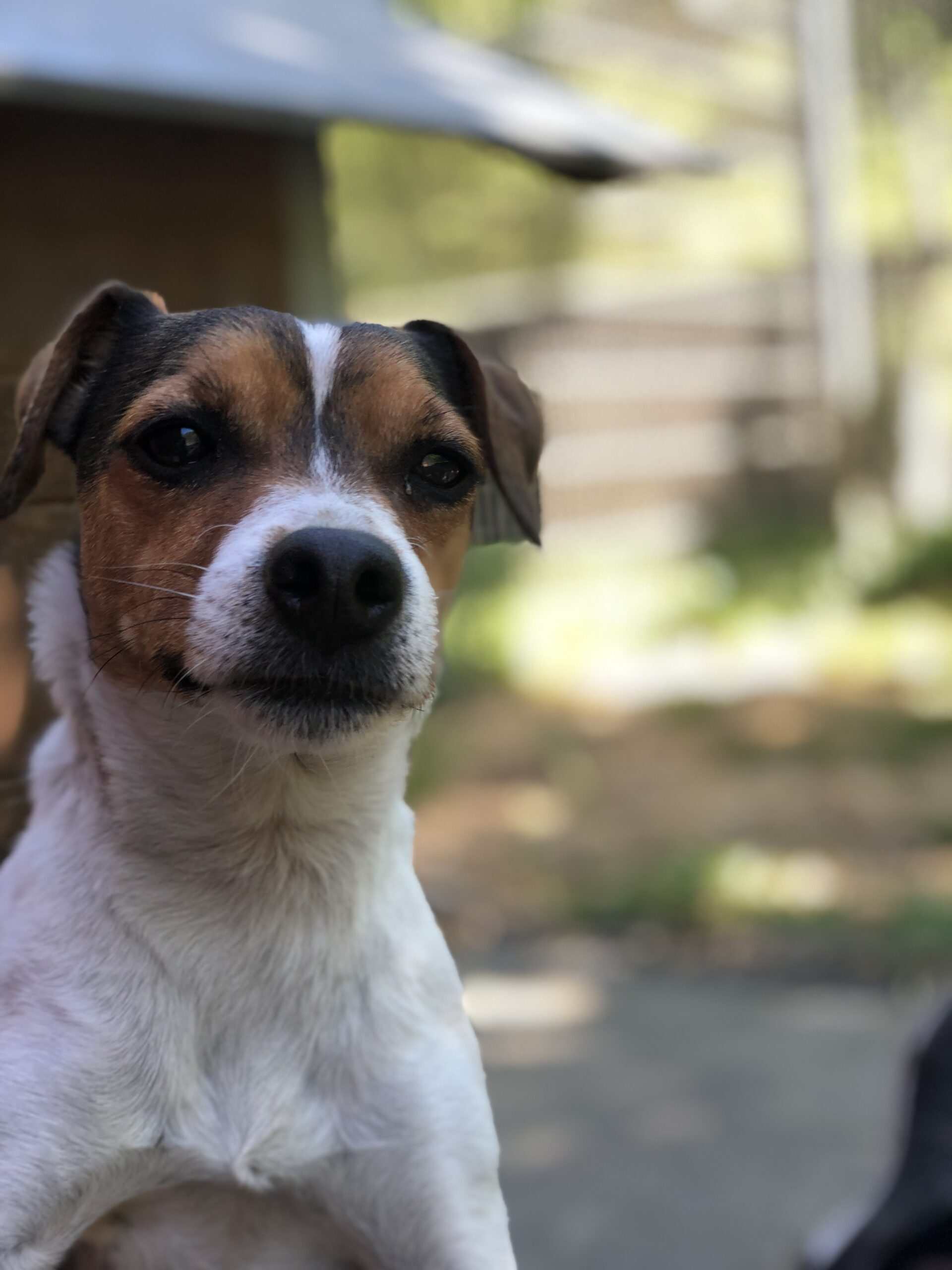 Moritz (hat Interessenten) Moritz (hat Interessenten)
