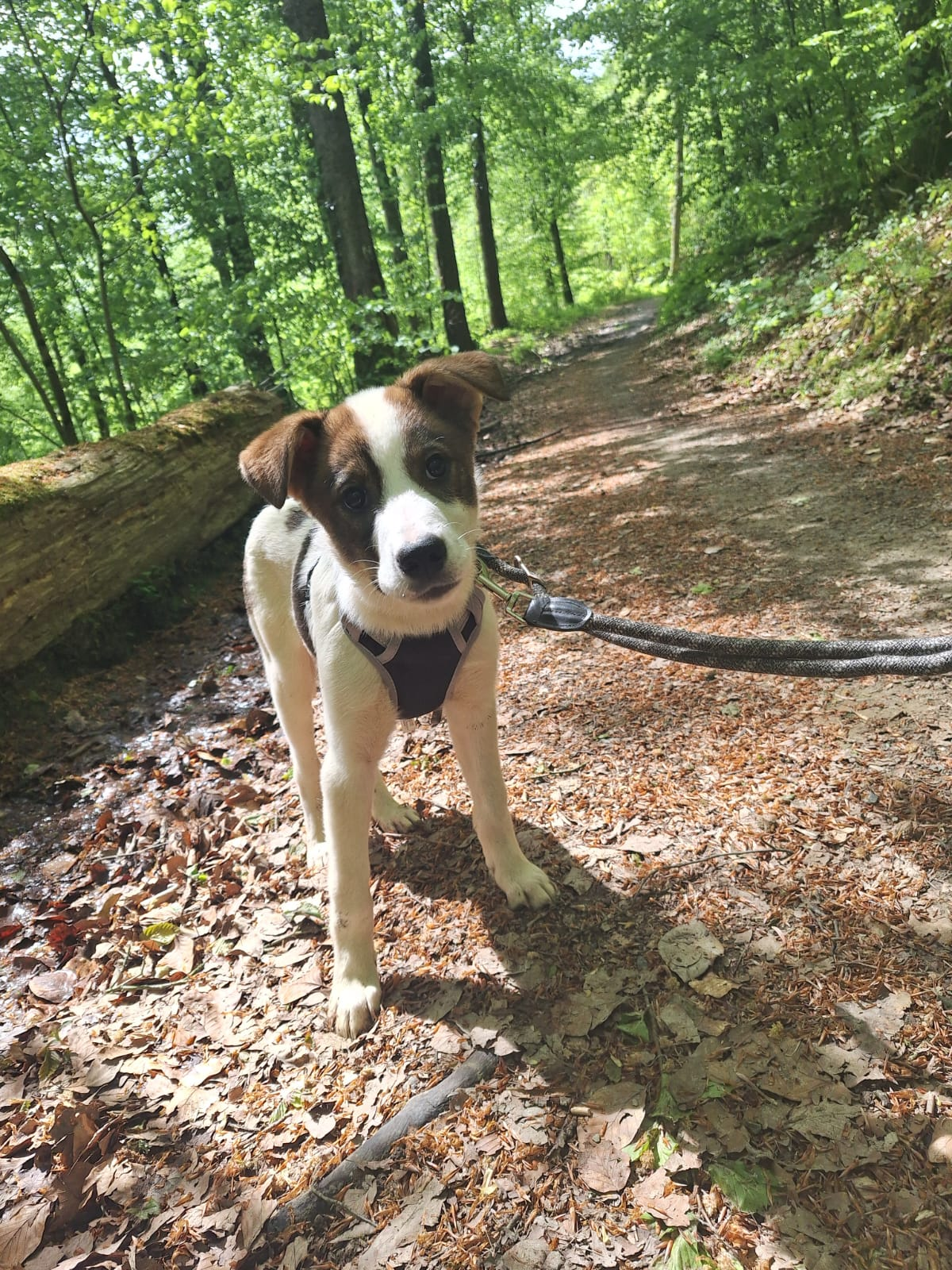Jacky (hat Interessenten) Jacky (hat Interessenten)