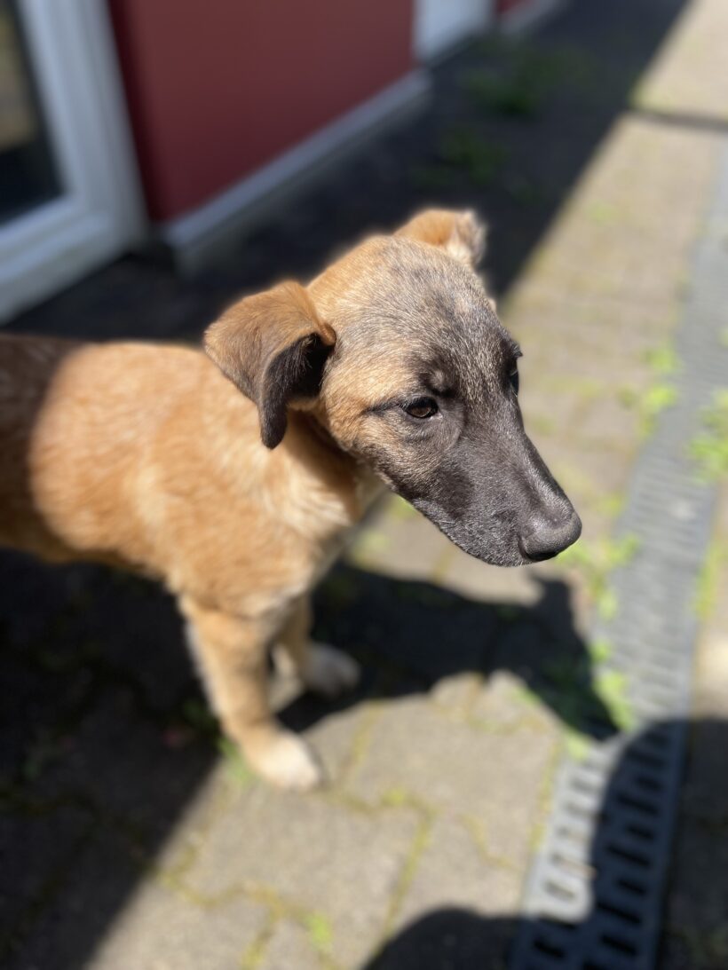 Walter (hat Interessenten)