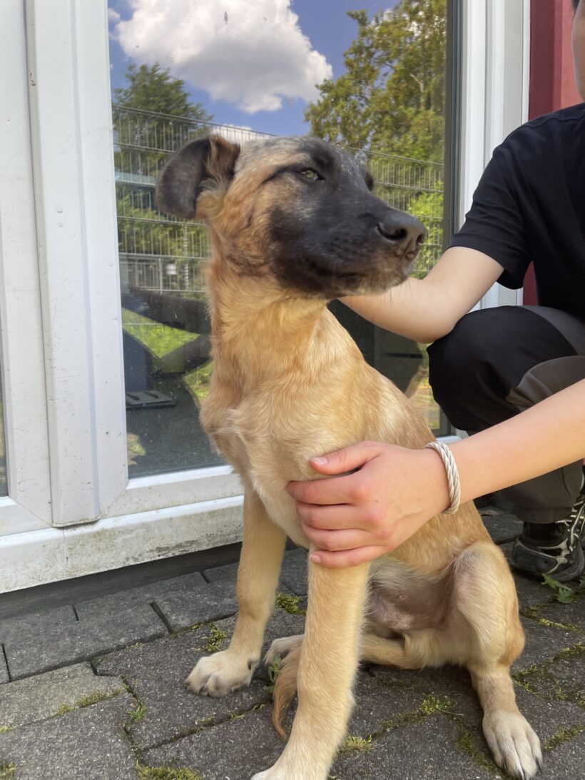 Walter (hat Interessenten)