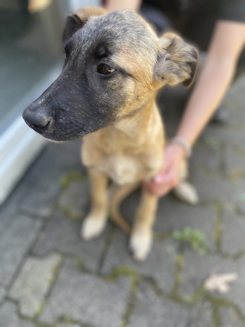 Walter (hat Interessenten)