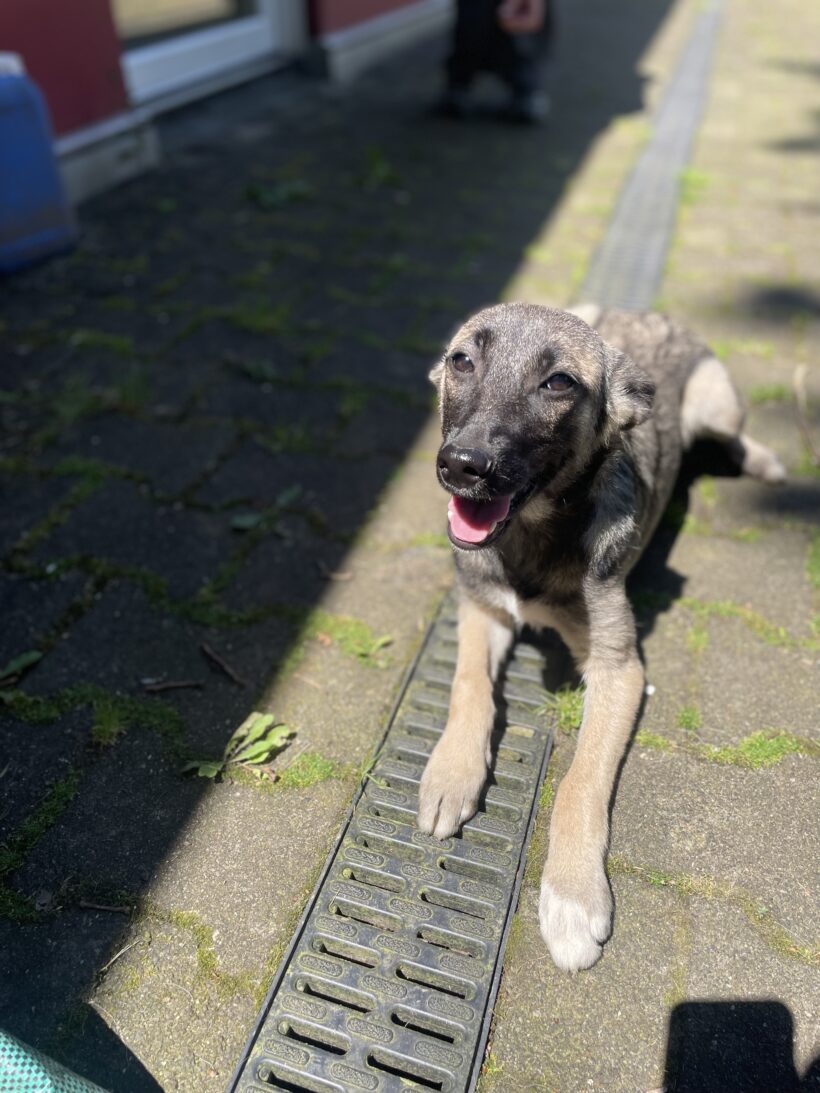 Maggie