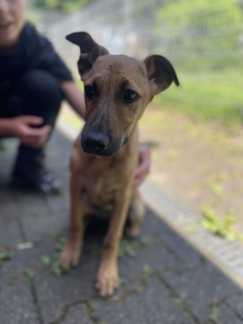 Tekla