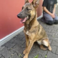 Freya