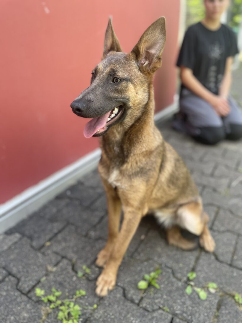 Freya
