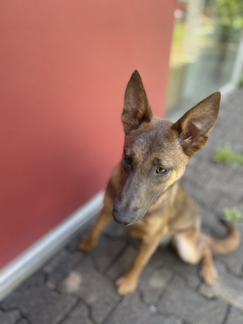 Freya